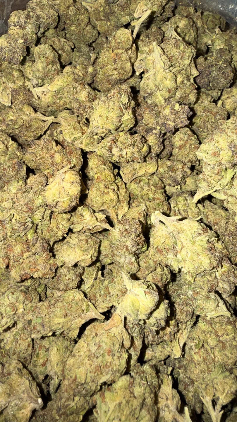 Customer photo review of Cranberry Kush - Bulk - Hybrid