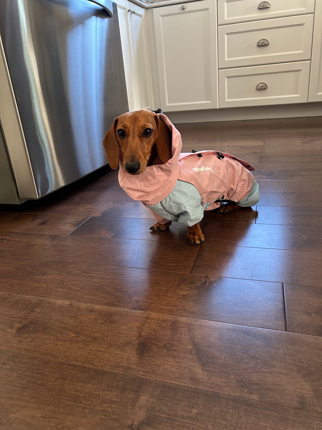 Customer photo review of Breezy Rain Suit