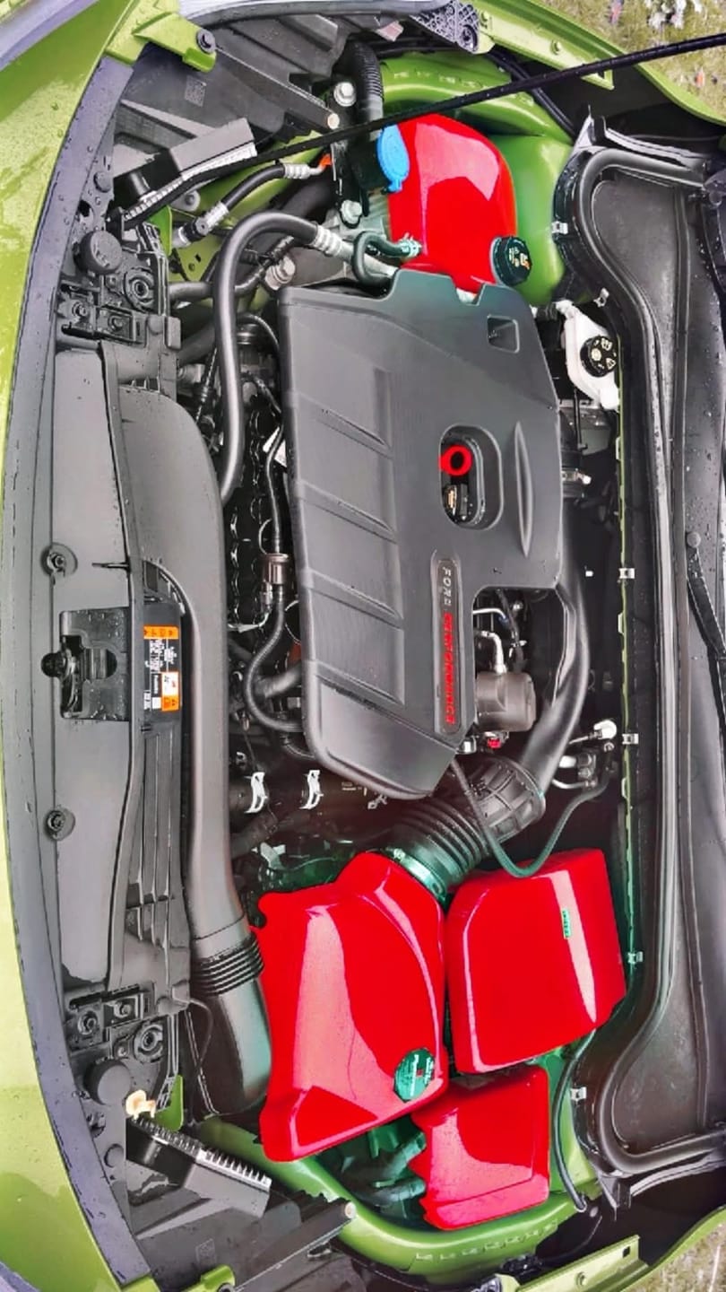 Customer photo review of Proform Dress Up Kit - Mk4/4.5 Ford Focus (Plastic Finishes)