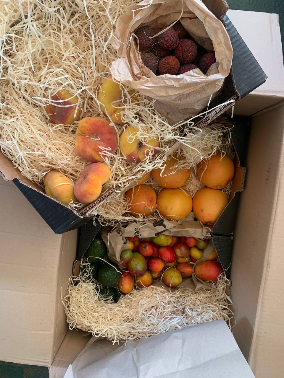 Customer photo review of Baby-Mango Irwin Bio von Julian