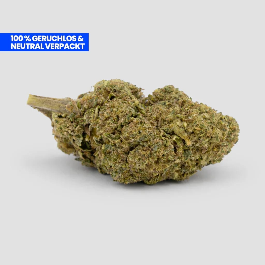 Customer photo review of White Widow Ultra CBD 35%