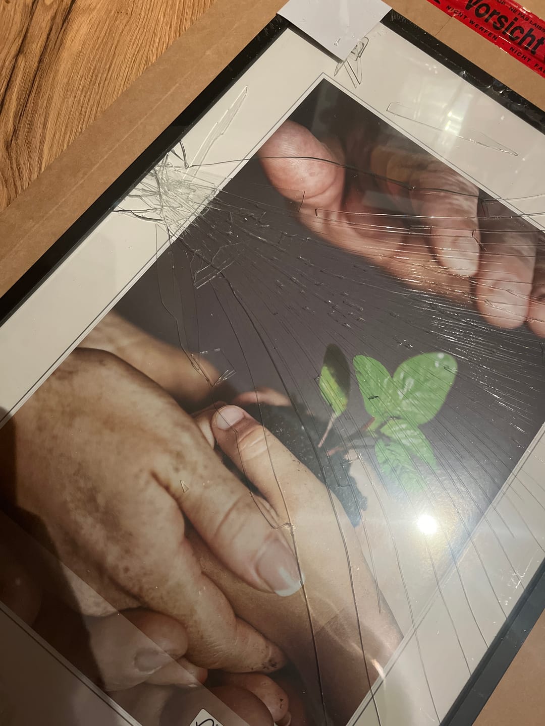 Customer photo review of Profi-Datencheck