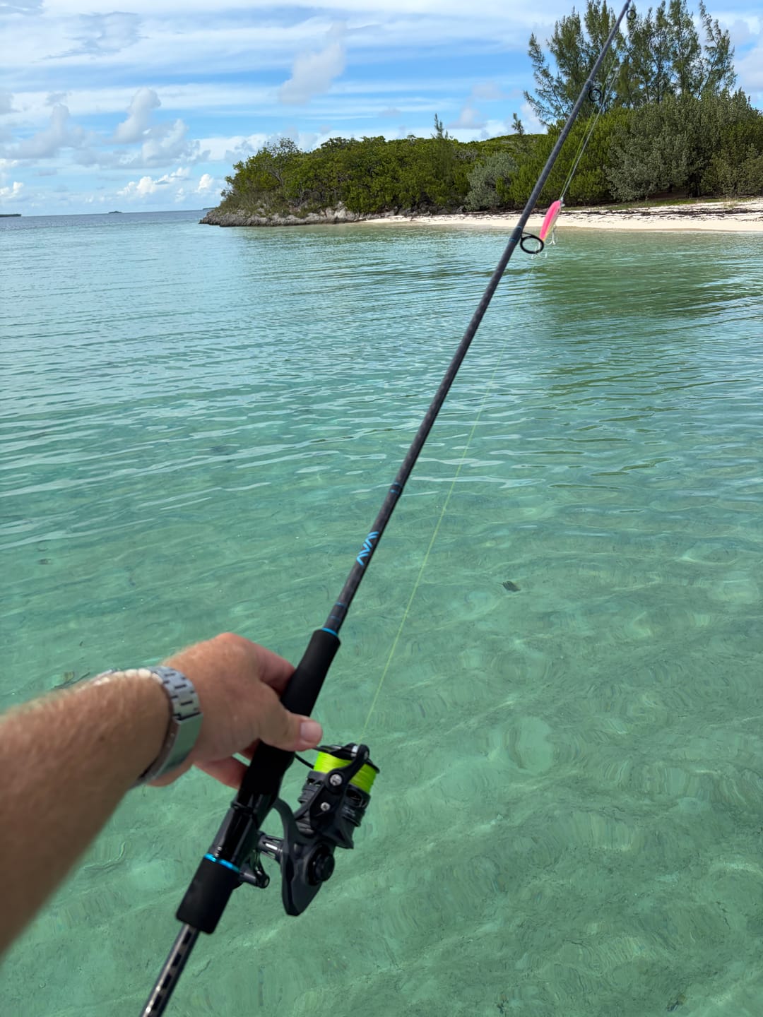 Customer photo review of Avail Apex 7' One Piece Inshore Spinning Rod