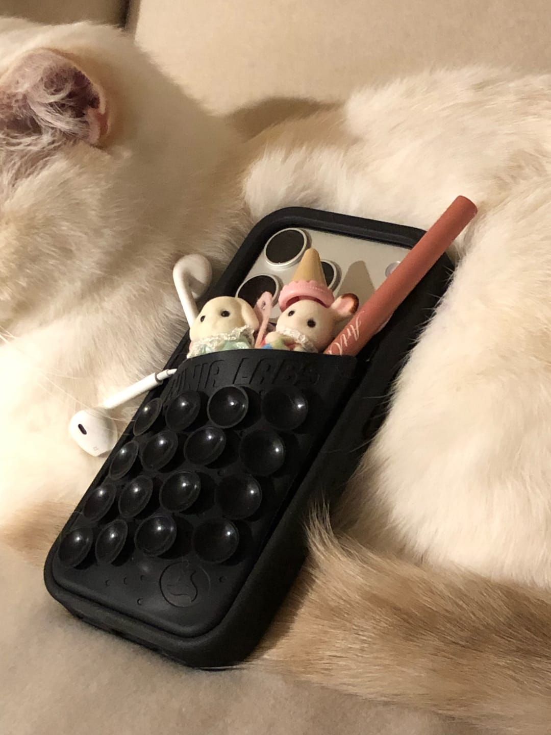 Customer photo review of Octo Pouch - iPhone 17