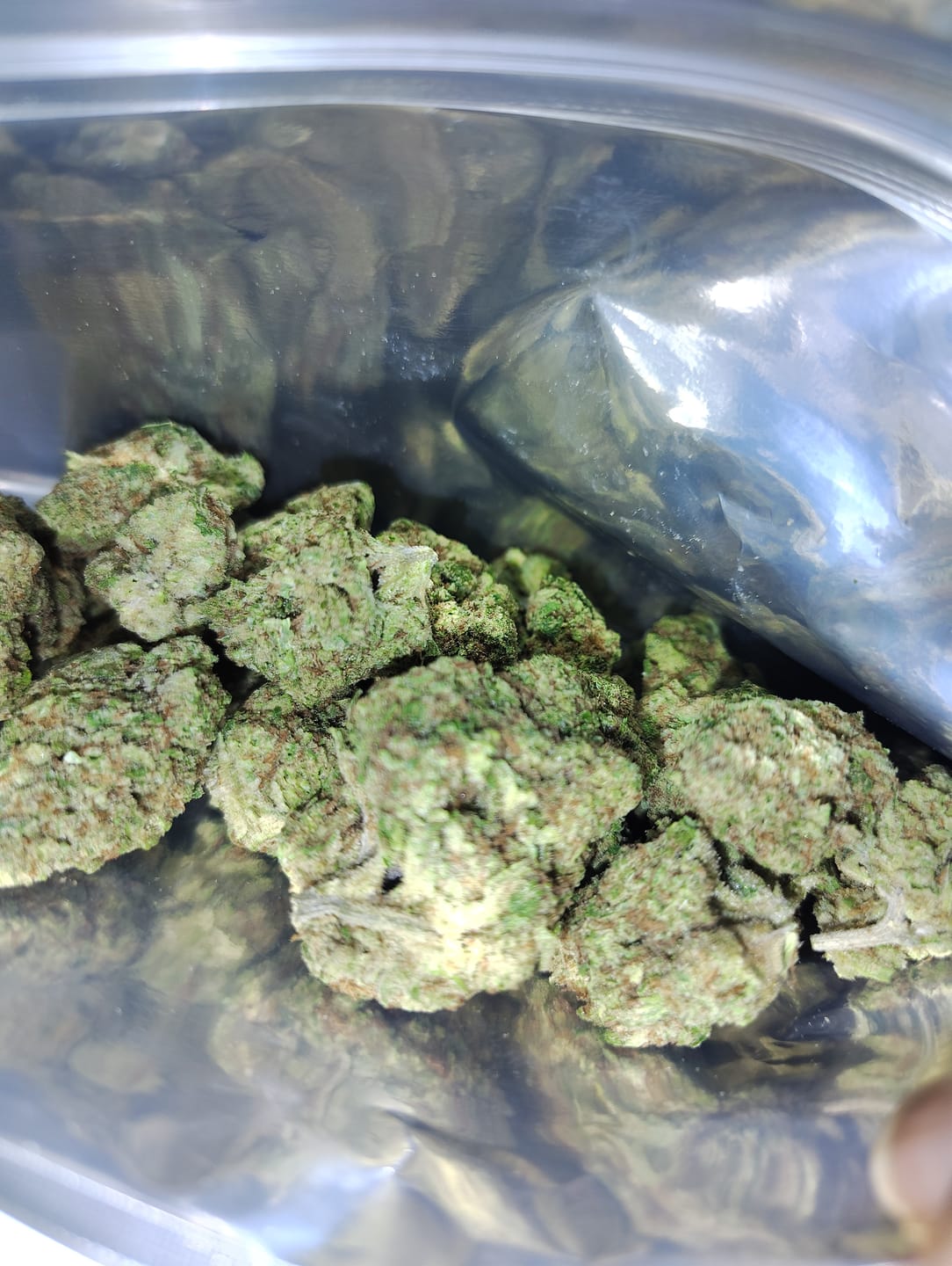 Customer photo review of Strawberry Cough THCA Flower