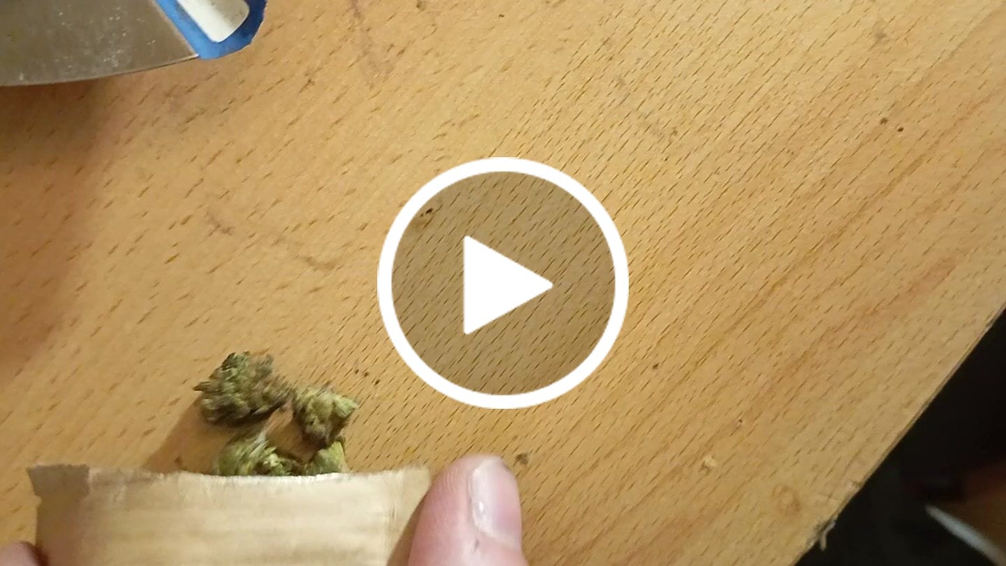 Customer video review of Blueberry Kush