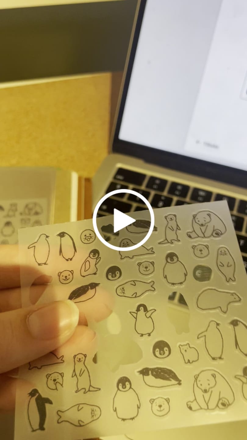 Customer video review of Midori Sticker Chat