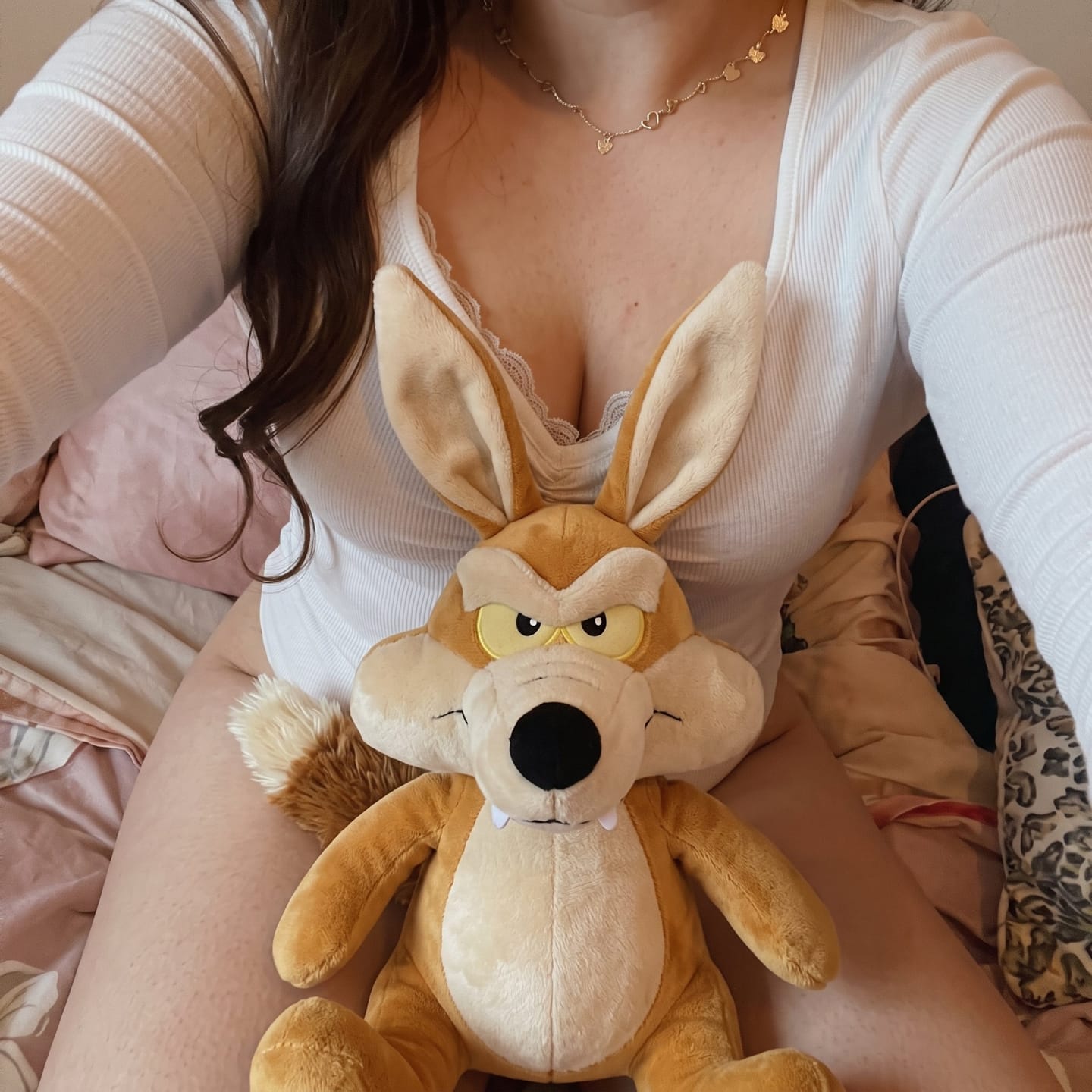 Customer photo review of ZoomiesPets™ Coyote Corredor