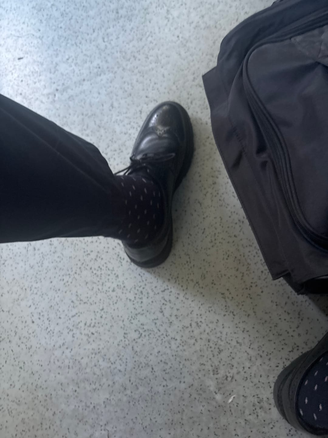 Customer photo review of Phase Waxy Brogue Shoes Black