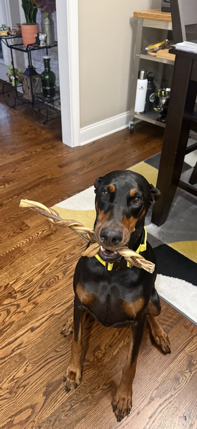 Customer photo review of 12 Inch Braided Collagen Sticks