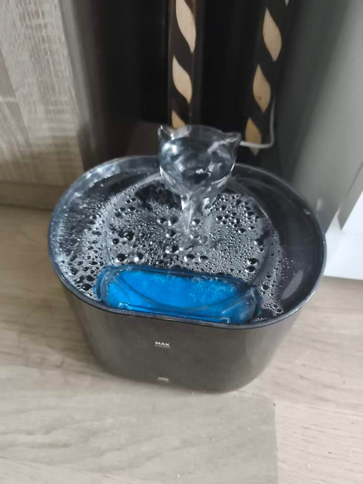Customer photo review of Fontaine à Eau pour Chat 2,2L – Filtration Continue
