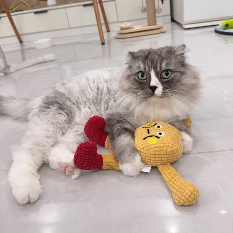 Customer photo review of PurrClean™ Peluche Dental