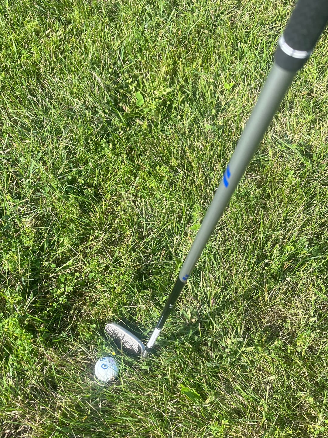 Customer photo review of Hot Launch Max D #7 Ironwood Demo Offer