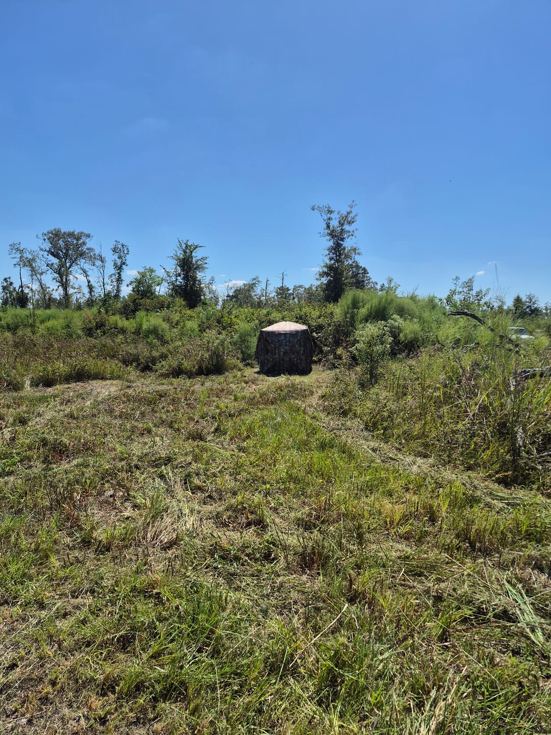 Customer photo review of Vis360 See Through Ground Blind | 360° Camouflage Pop Up Hunting Blind for 2/3/4 Person | Portable Deer Blind with Orange Cover