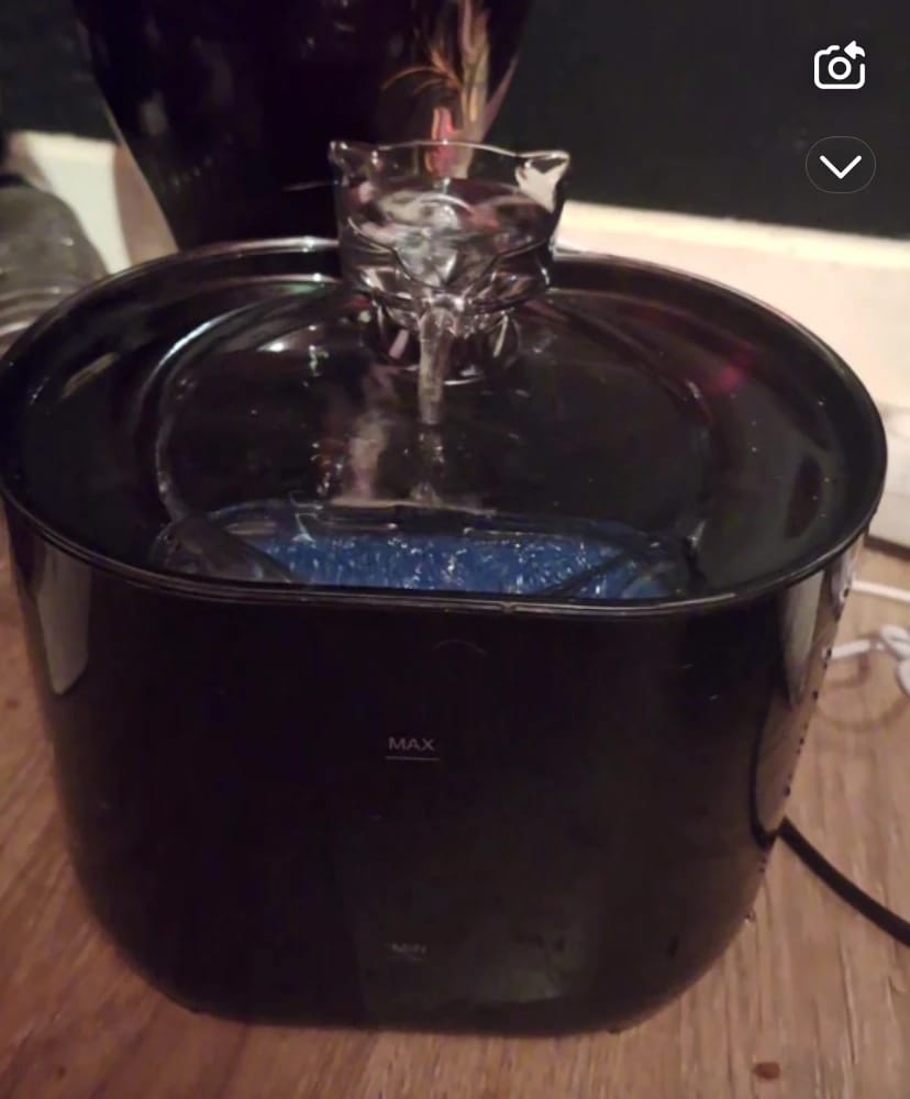Customer photo review of Fontaine à Eau pour Chat 2,2L – Filtration Continue