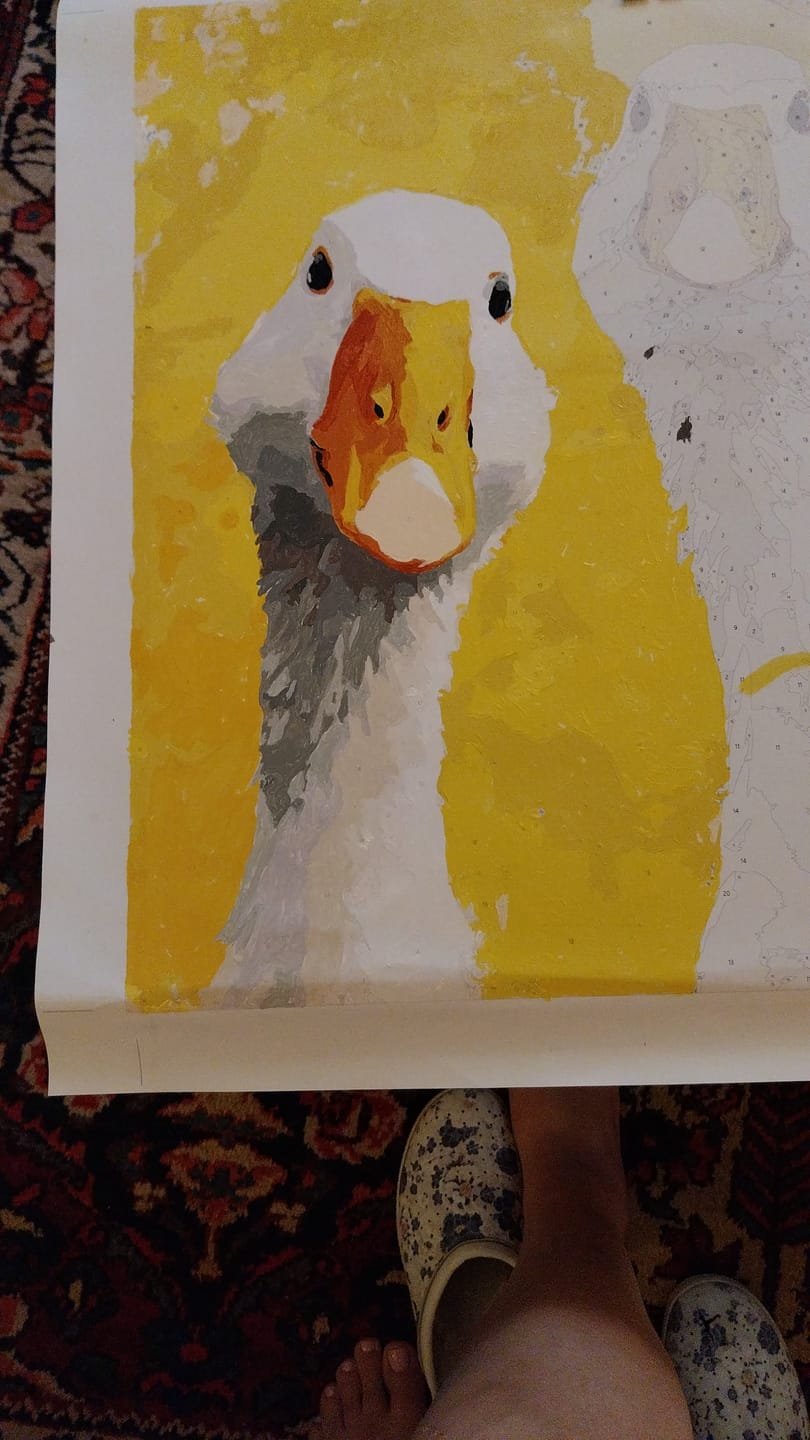 Customer photo review of Curiosity | Paint by Number