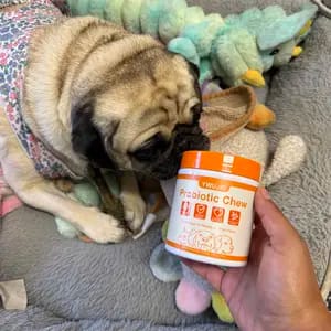 Customer photo review of Supporto Immunitario Cane Multivitaminico 8-in-1 con Probiotici