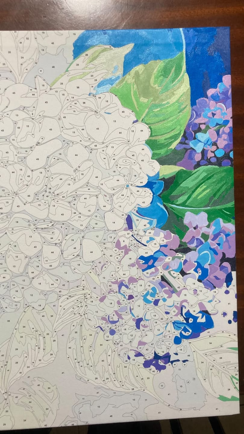 Customer photo review of Blue Hydrangea