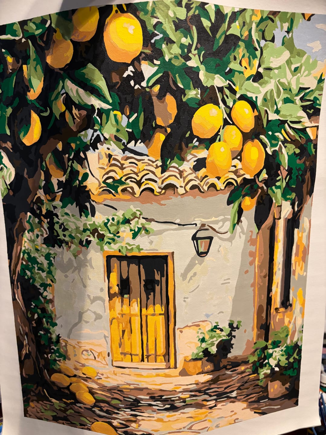 Customer photo review of Lemon Yard