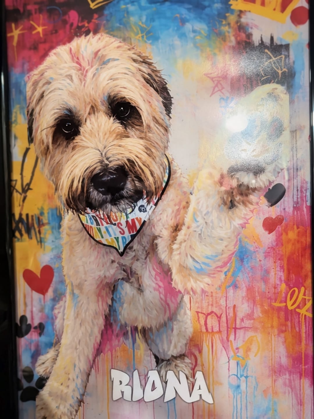 Customer photo review of Graffiti - Personalized Poster