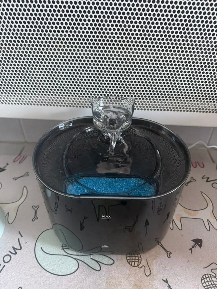 Customer photo review of Fontaine à Eau pour Chat 2,2L – Filtration Continue