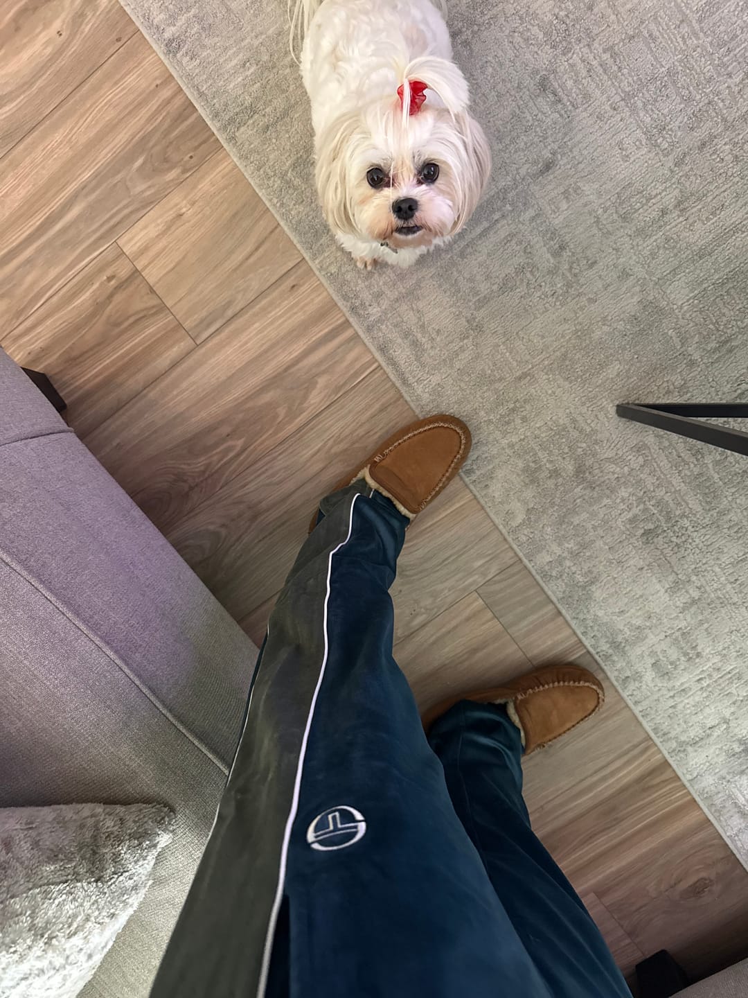 Customer photo review of Forato Velour Track Pant-Mediterranea