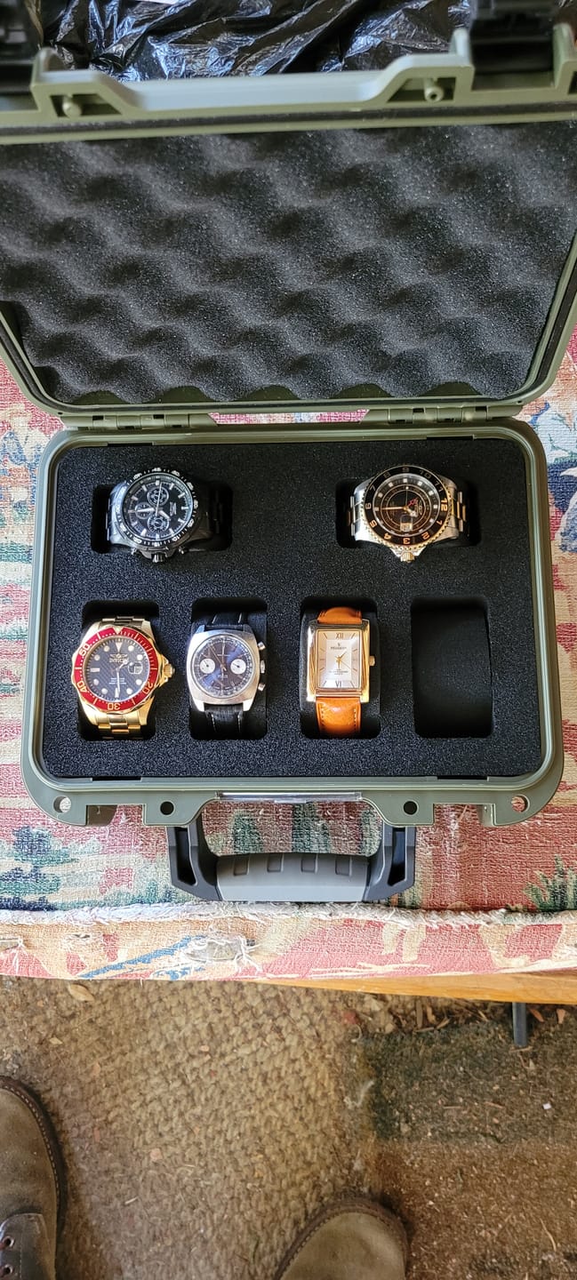 Customer photo review of 6 Watch Storage & Travel Case