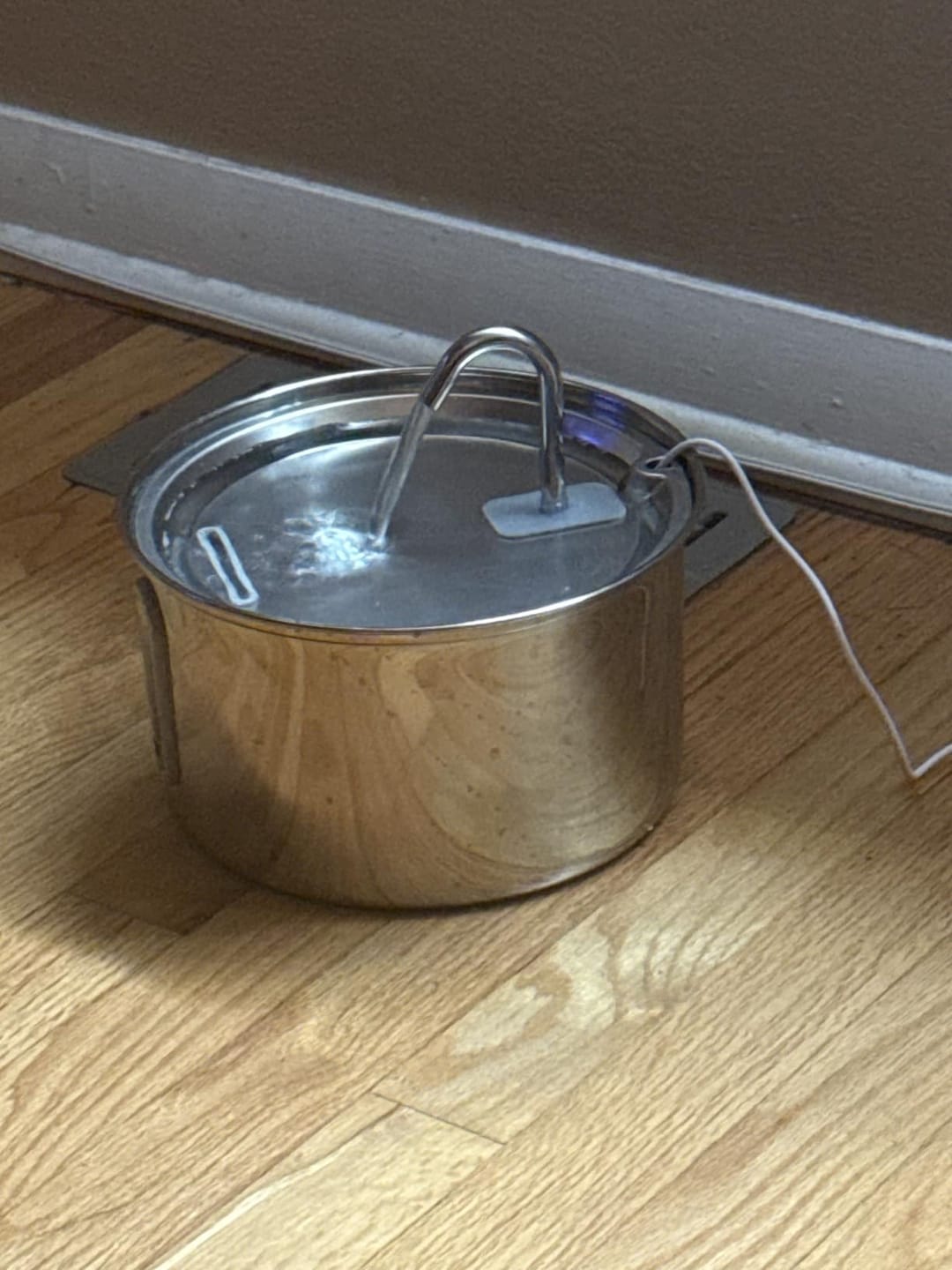 Customer photo review of PureFlow™   Pet Water Fountain