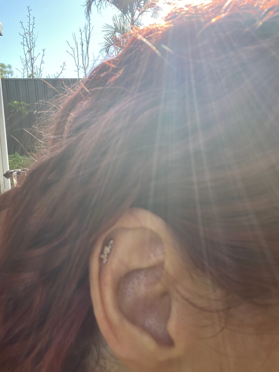 Customer photo review of DEIA Curved Cartilage Stud