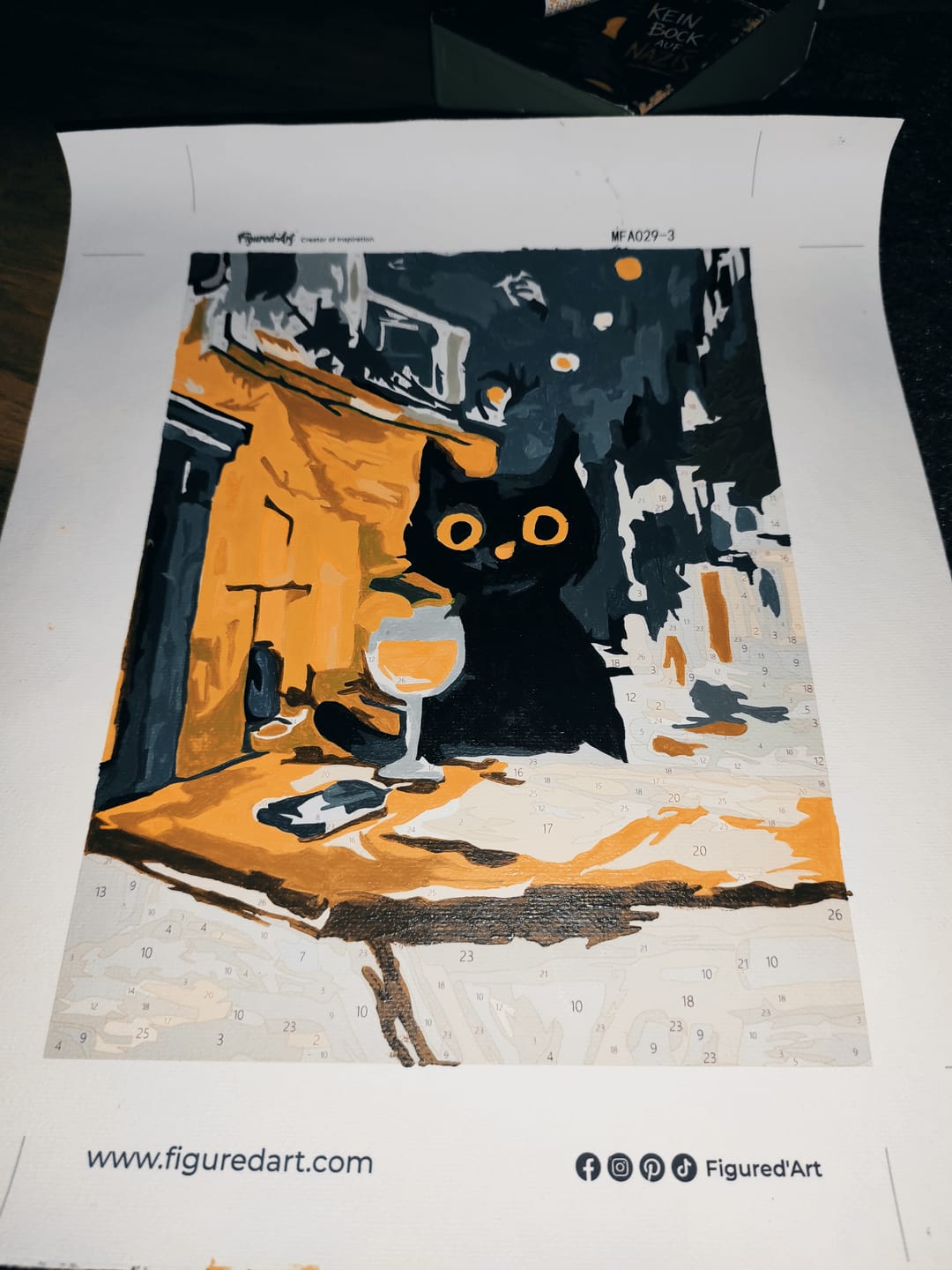 Customer photo review of Mini Peinture par numéros 15x20cm (6 pièces) - Chat Style Van Gogh