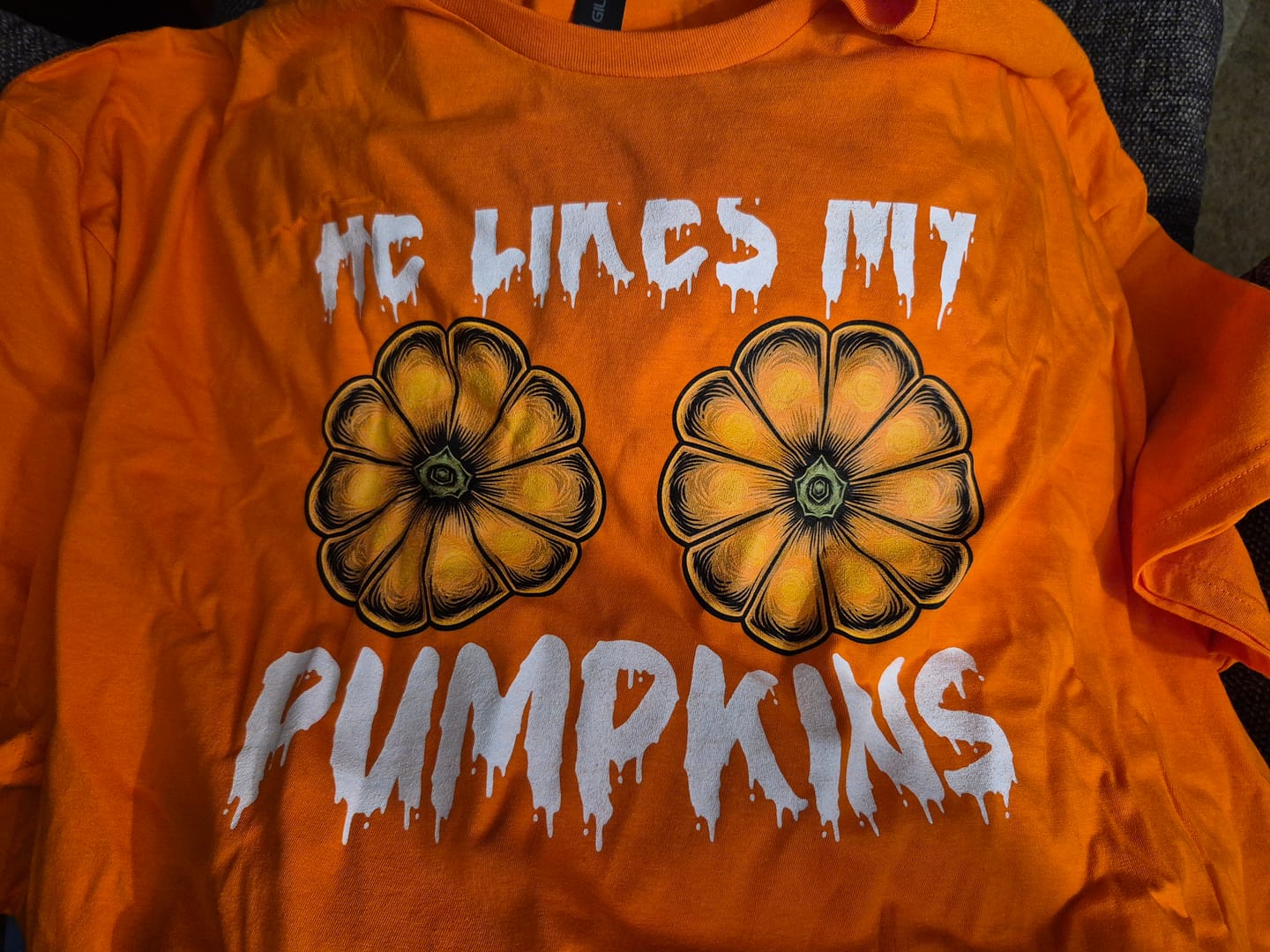 Customer photo review of He Likes My Pumpkins | Deluxe Unisex Tee v2