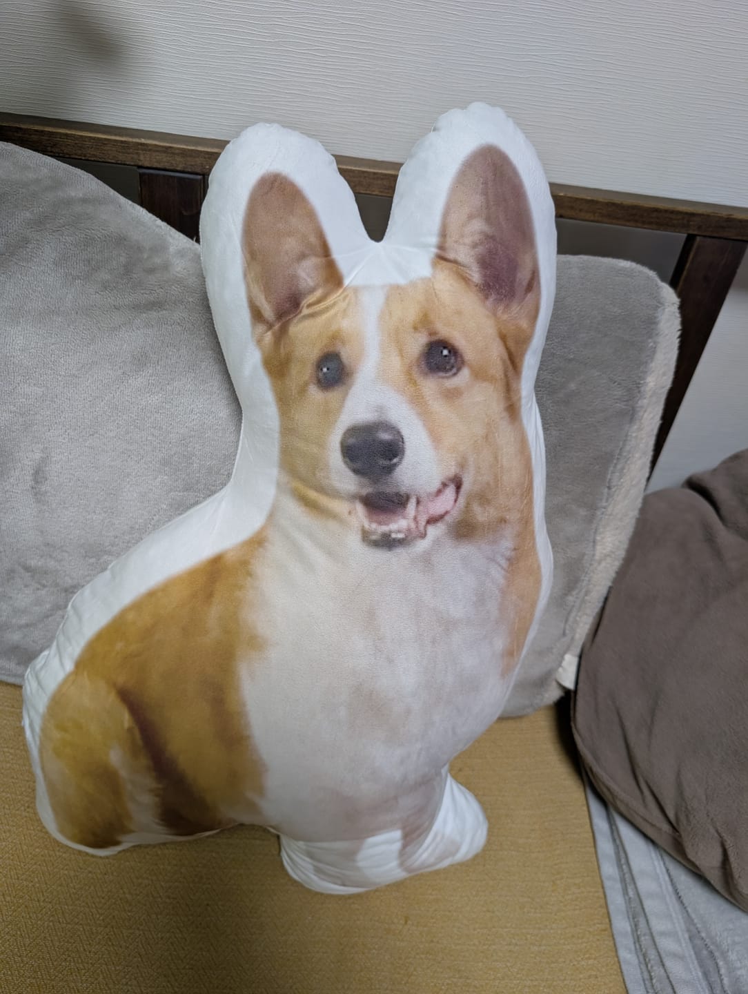 Customer photo review of 本物そっくり♪ペットクッション