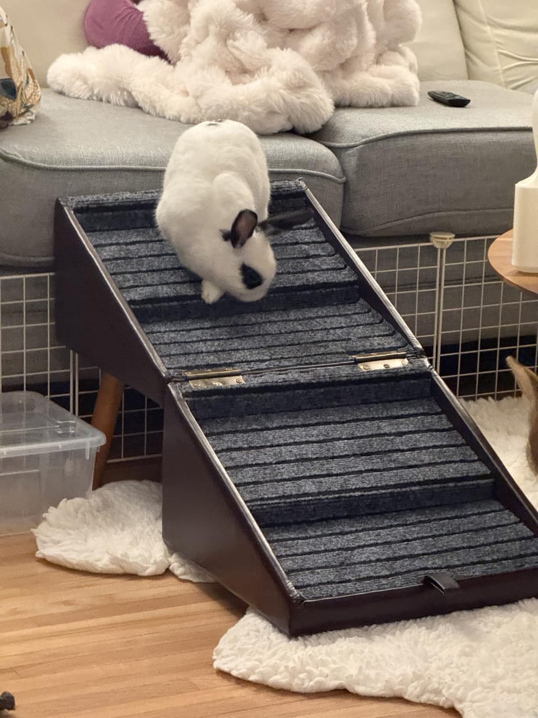 Customer photo review of 2-in-1 Foldable Dog Stairs Ramp for Bed and Couch