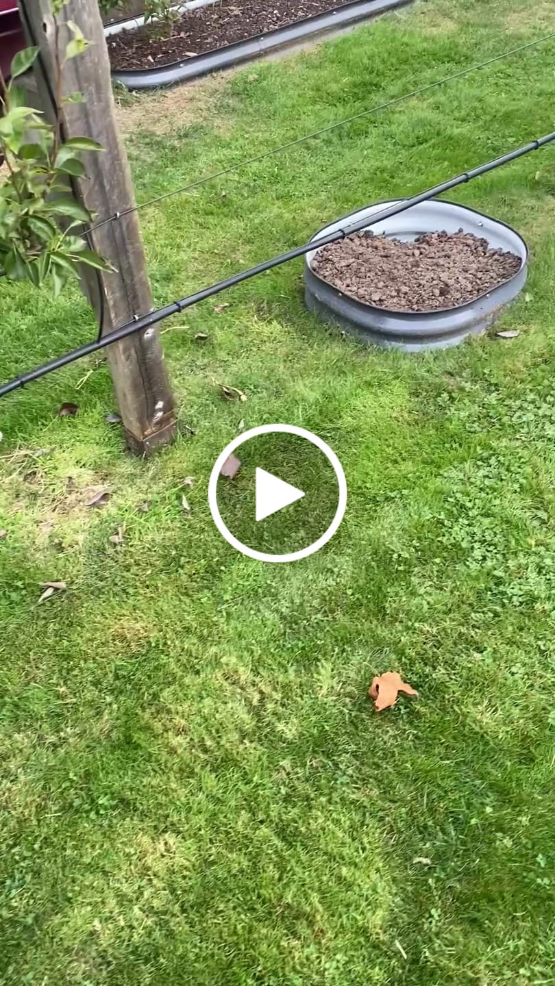 Customer video review of 8" Tall Corner Panels
