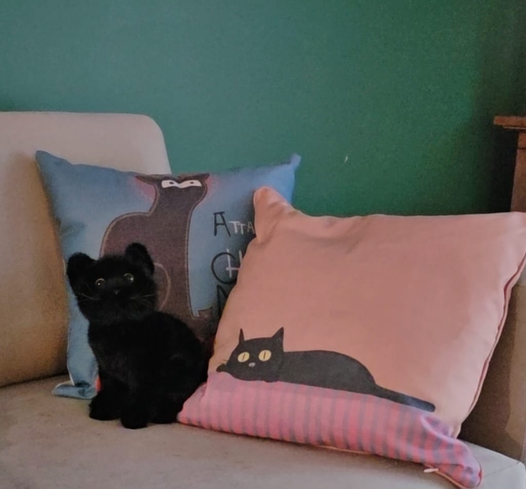 Customer photo review of Black Cat Plush Toy – Soft, Lifelike, Perfect Gift for Cat Lovers
