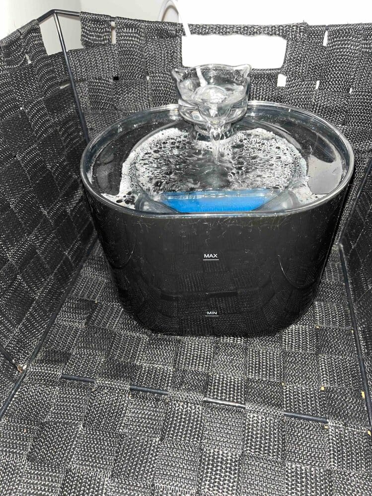 Customer photo review of Fontaine à Eau pour Chat 2,2L – Filtration Continue