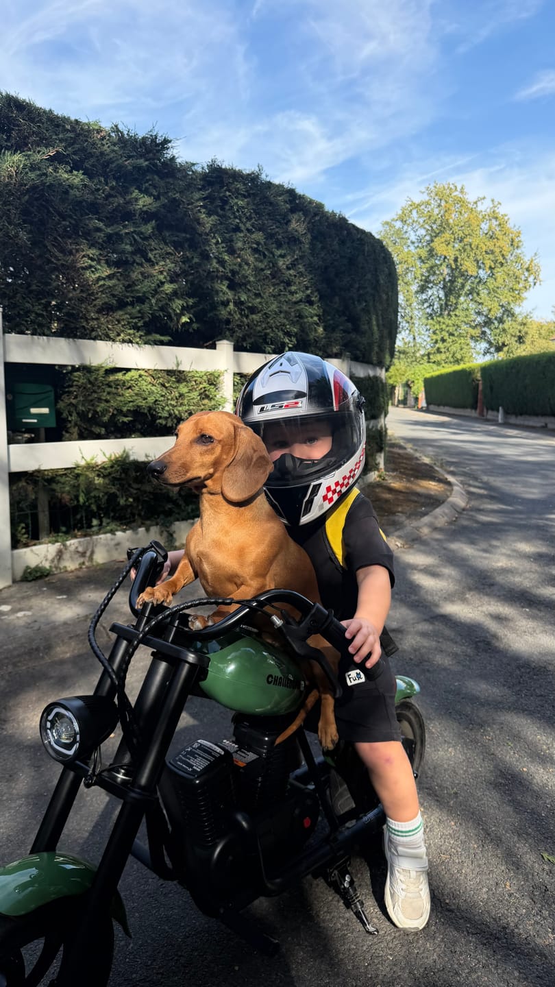 Customer photo review of Cruiser 12 Plus