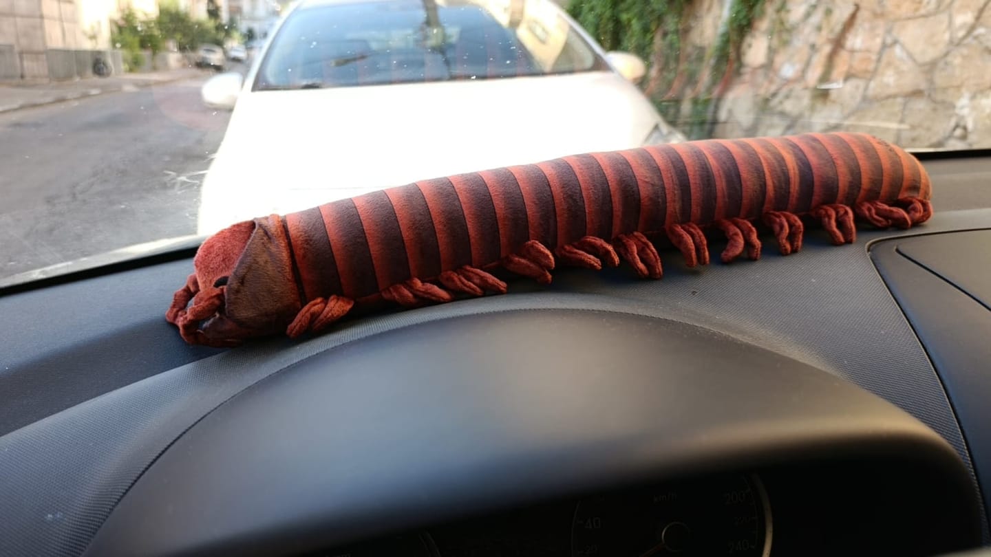 Customer photo review of Specimen 1 - Giant African Millipede Plush