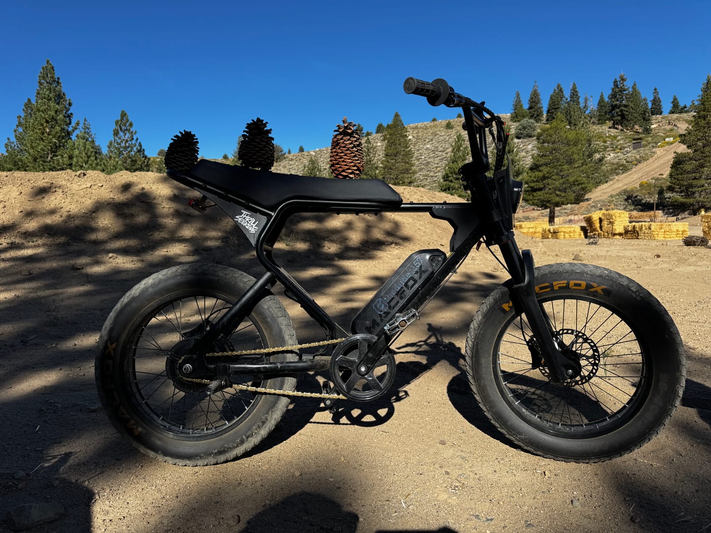 Customer photo review of Macfox X1S Commuter E-bike