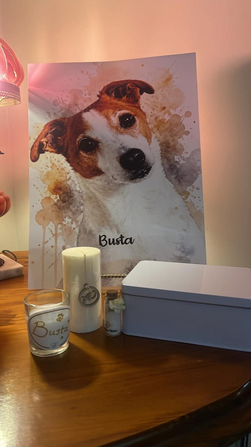 Customer photo review of Prio+