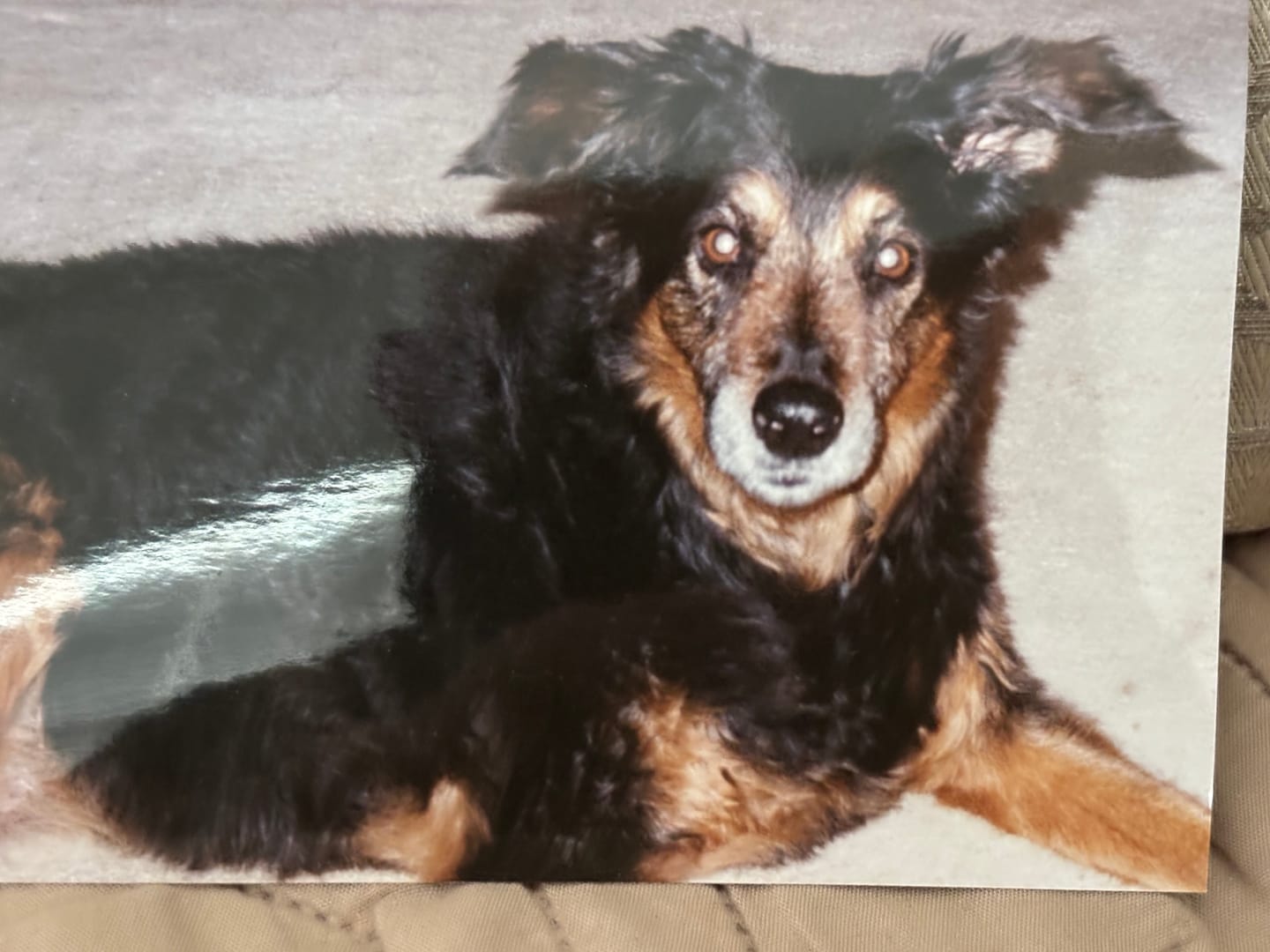 Customer photo review of Scribble - Personalized Poster