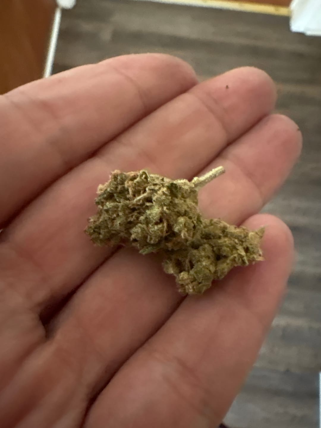 Customer photo review of KIND - White Gelato - 28 Grams - Indica