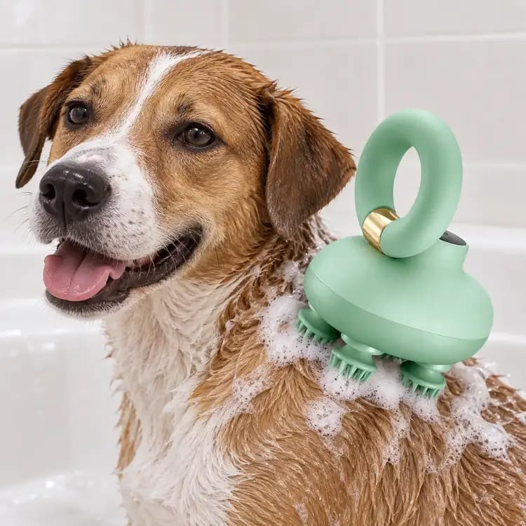 Customer photo review of AuraPet Gentle Scalp Massager