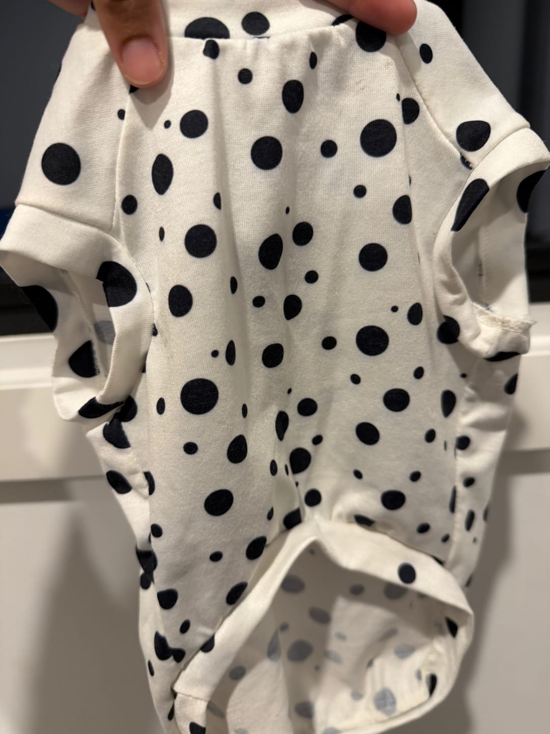 Customer photo review of Polka Dot Women's & Kid's Dresses with Dog Tank