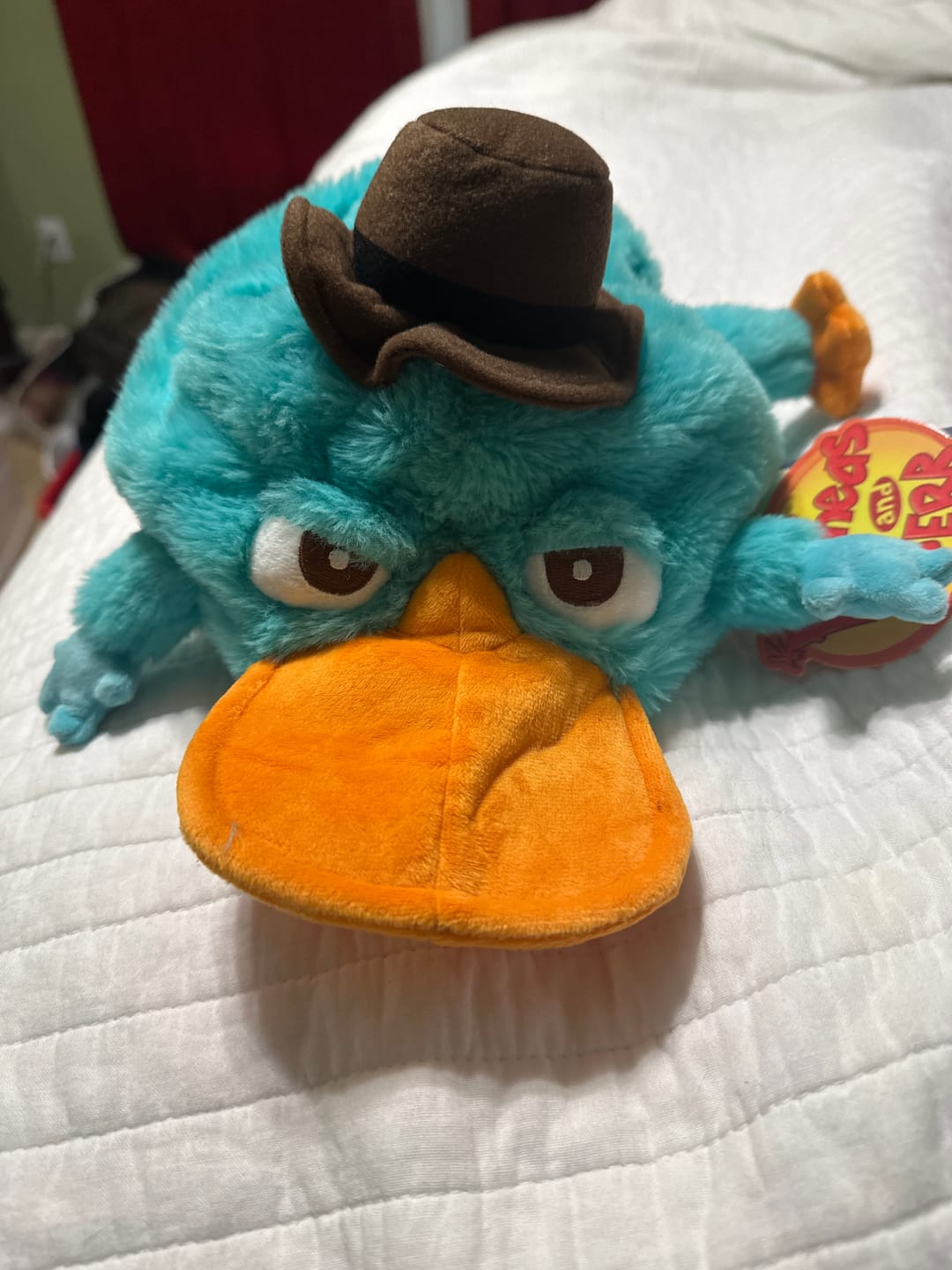 Customer photo review of Disney's Phineas and Ferb "Agent P" – Plush Hat
