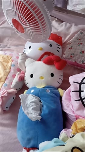 Customer photo review of Hello Kitty Plush Tissue Holder
