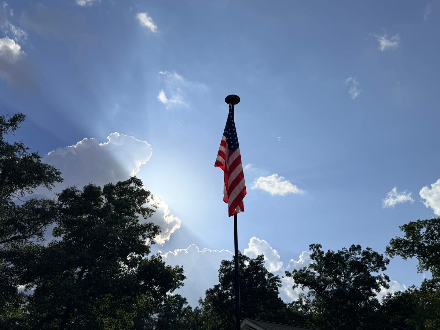 Customer photo review of 4' x 6' American Flag