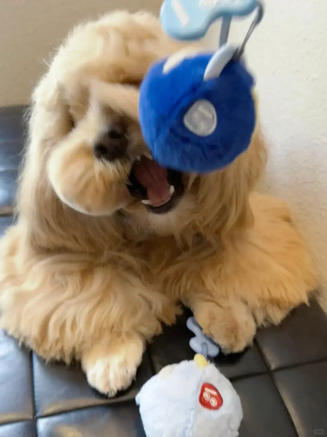 Customer photo review of Cairn Ball · Origin
