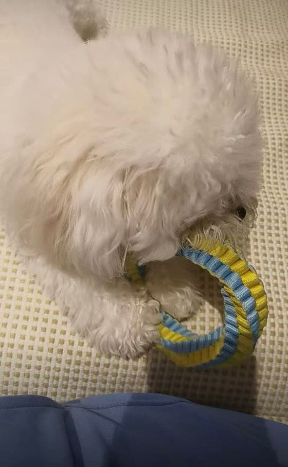 Customer photo review of Teeth Cleaning Ring