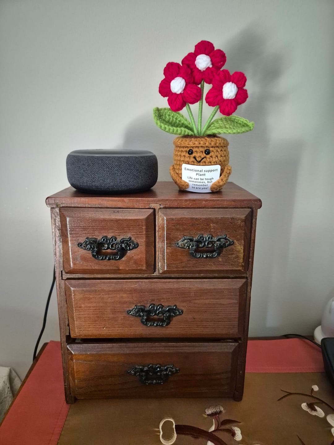 Customer photo review of Daisy Forever Friend